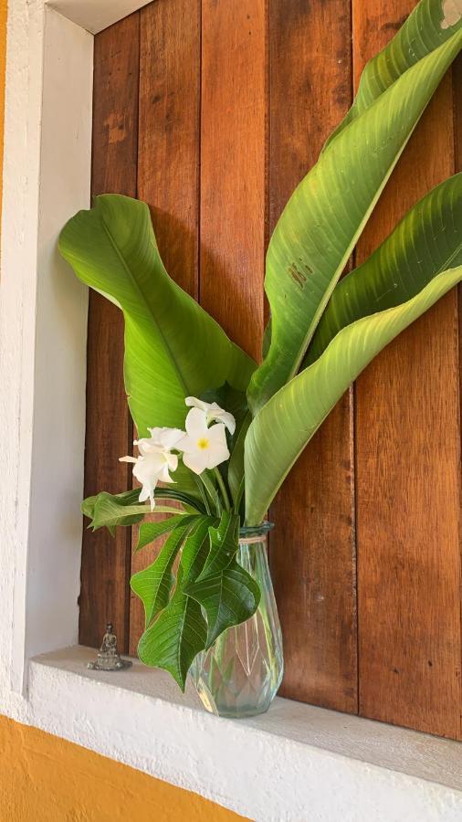Ville Sweet Home Canoa Quebrada Exterior photo